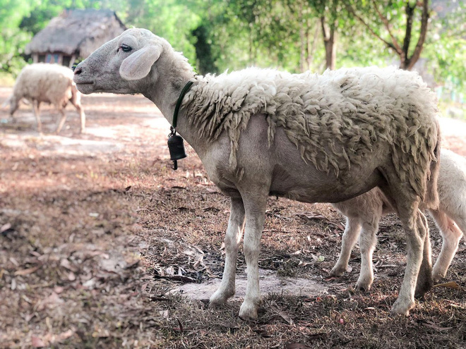 hành trình xuyên việt