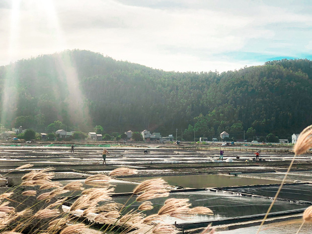 hành trình xuyên việt