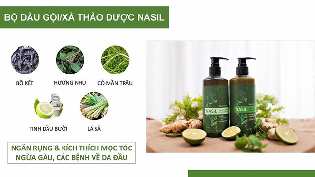 4 dầu gội mọc tóc tốt nhất từ dược liệu thiên nhiên mang lại hiệu quả bất ngờ 6 dầu gội mọc tóc