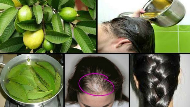 4 dầu gội mọc tóc tốt nhất từ dược liệu thiên nhiên mang lại hiệu quả bất ngờ 2 dầu gội mọc tóc